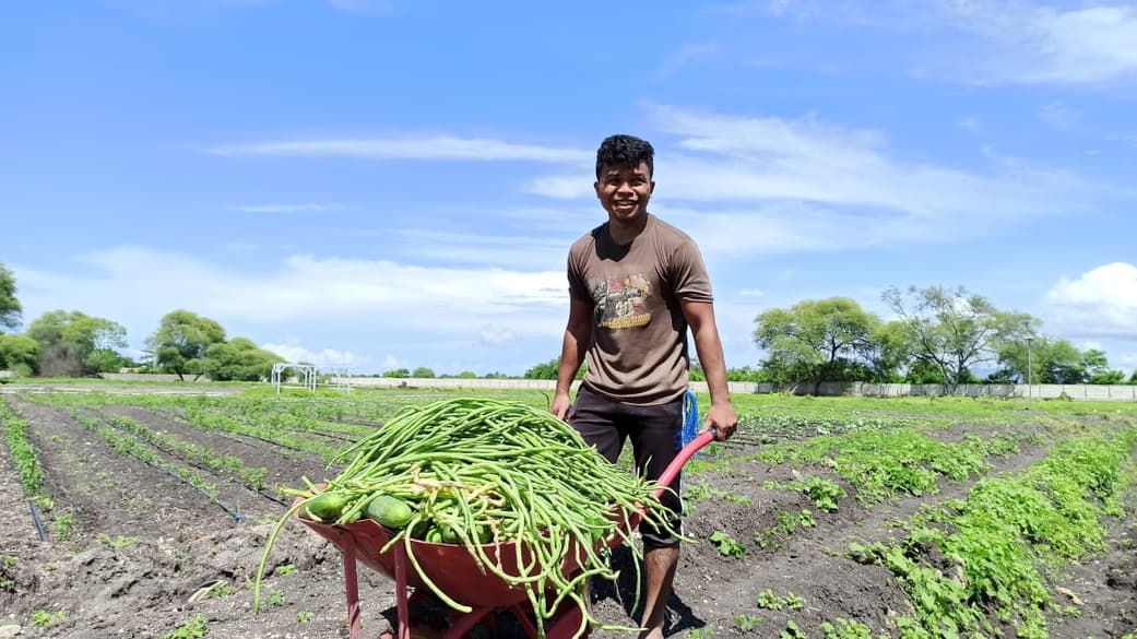 Petani Indonesia yang berdedikasi