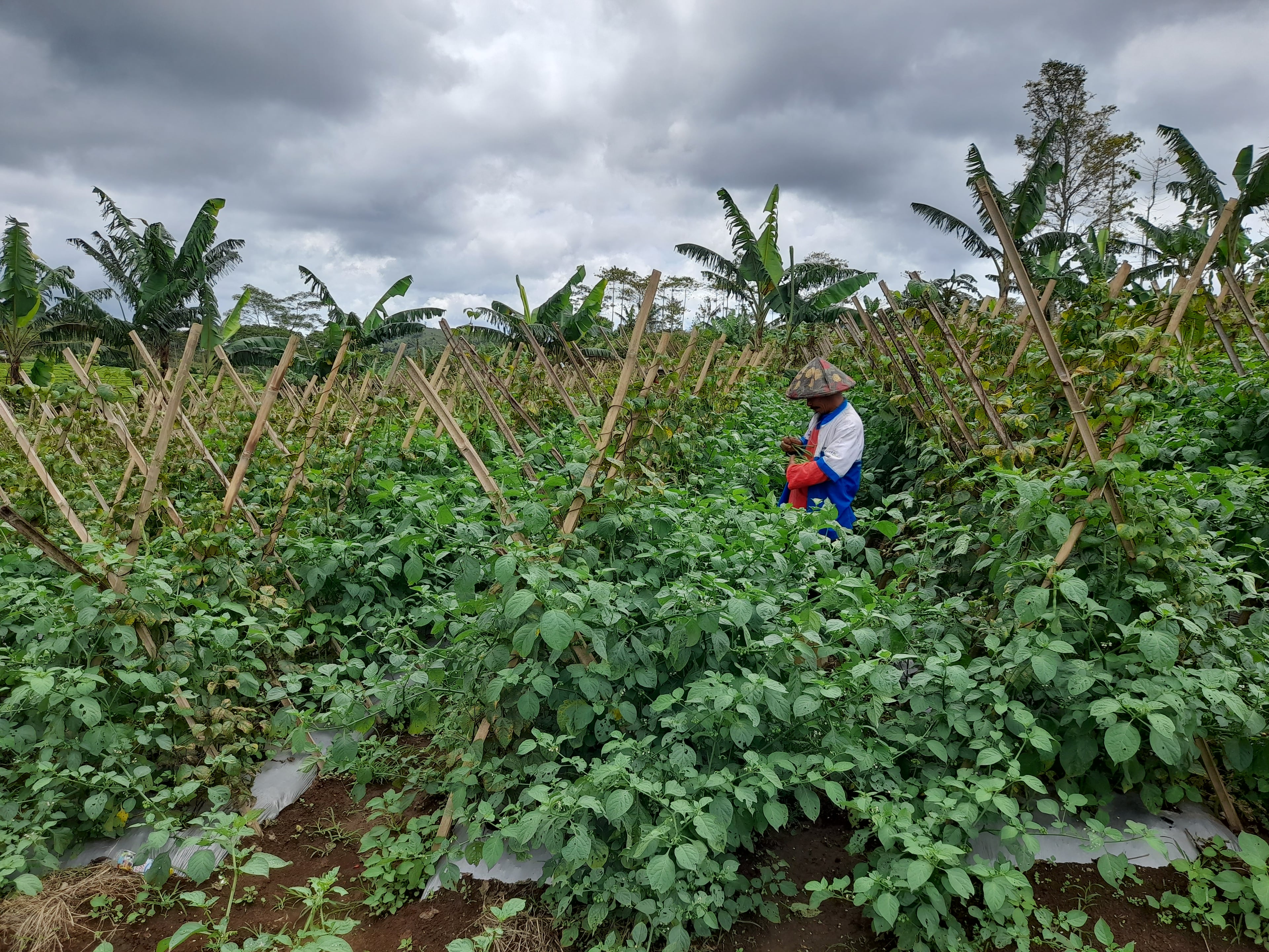 Farmer collaboration